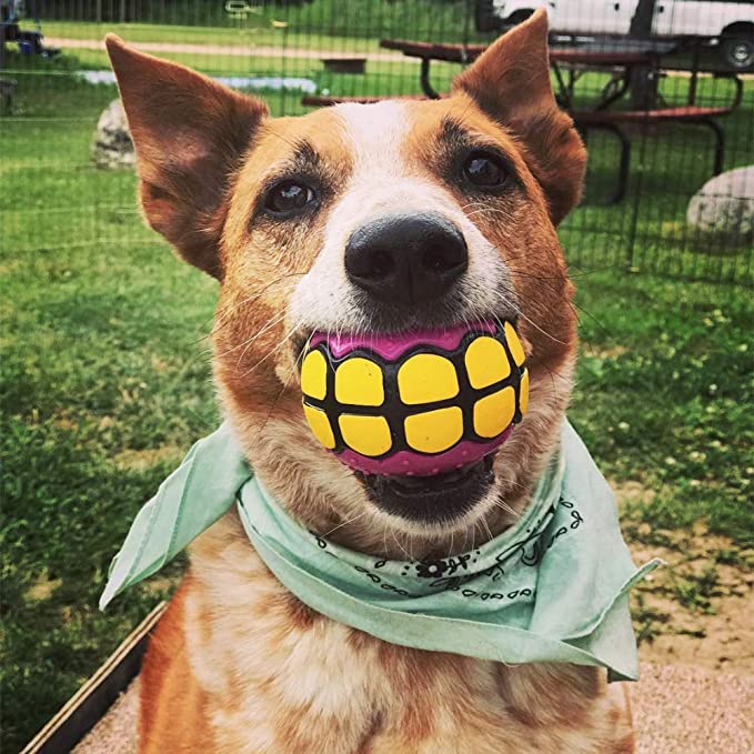 Renolve Funny Ball Gifts for Large Medium Dogs