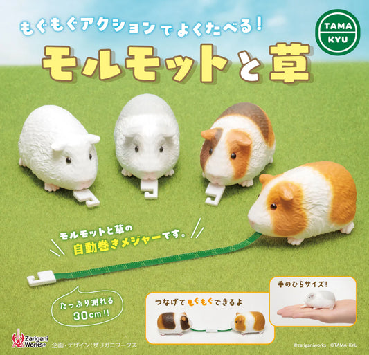 Guinea toy