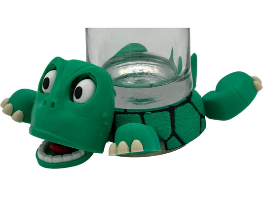 3d Turtle Coaster