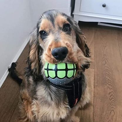 Renolve Funny Ball Gifts for Large Medium Dogs