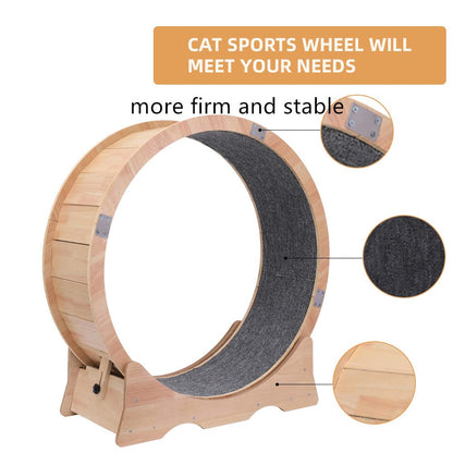 Renolve™ cat wheel