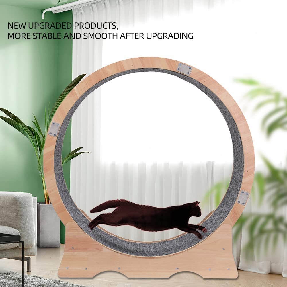 Renolve™ cat wheel