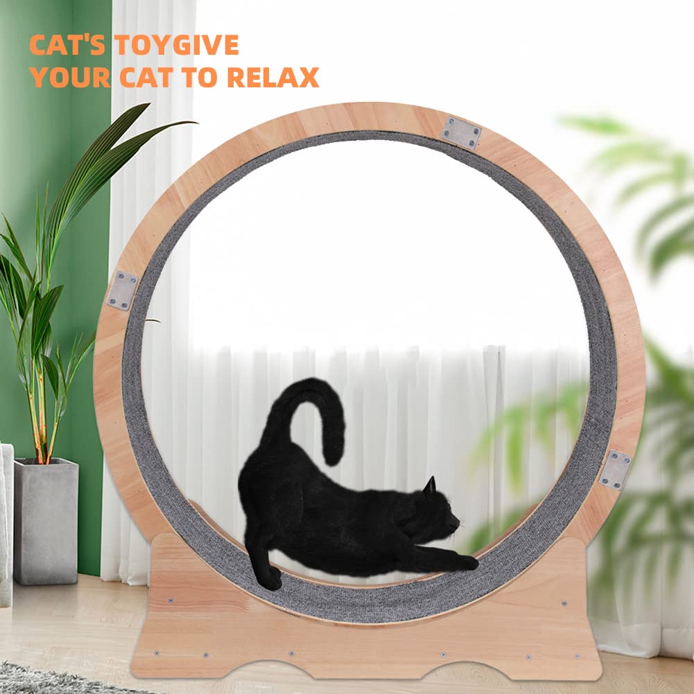 Renolve™ cat wheel