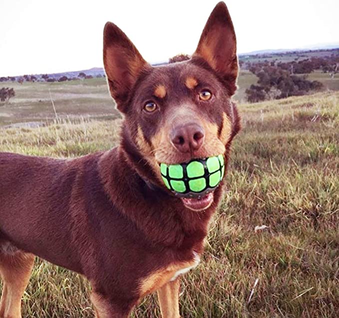 Renolve Funny Ball Gifts for Large Medium Dogs