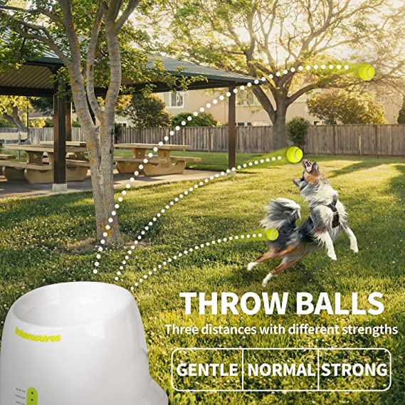 Renolve™ Automatic Dog Ball Launcher