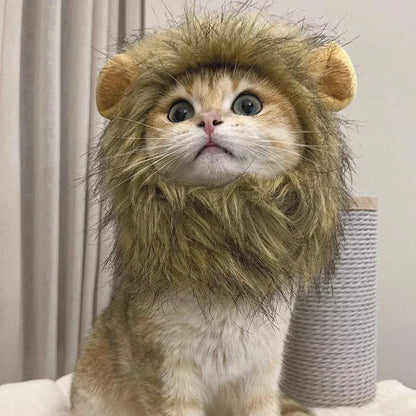 Lion hat from Renolve