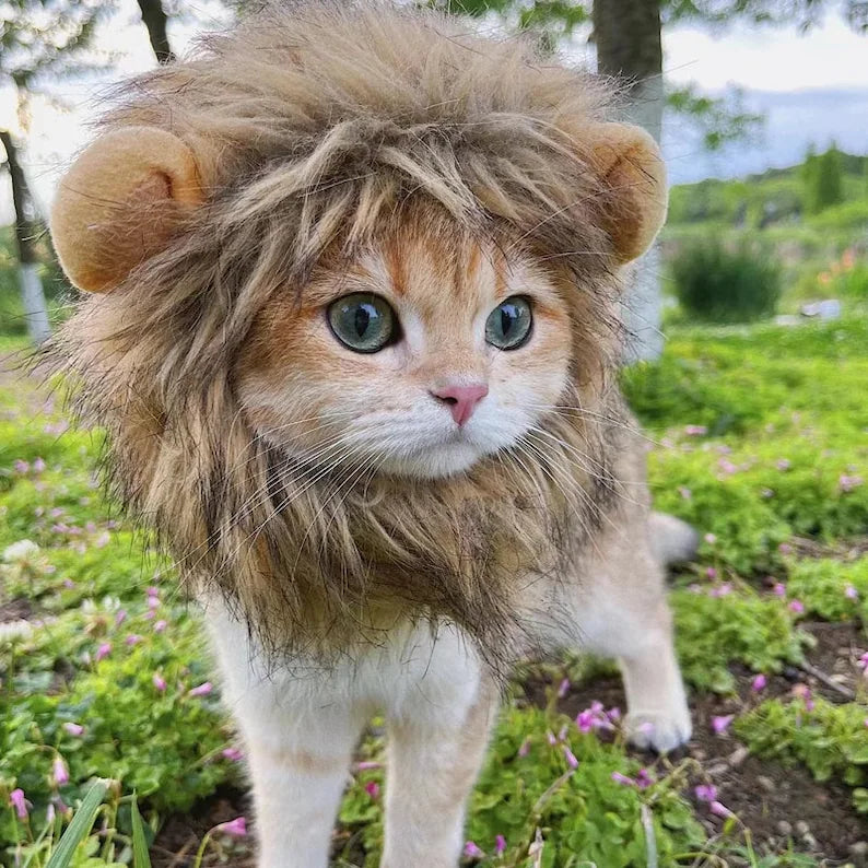 Lion hat from Renolve