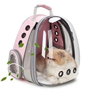 Cat bag