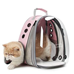 Cat bag